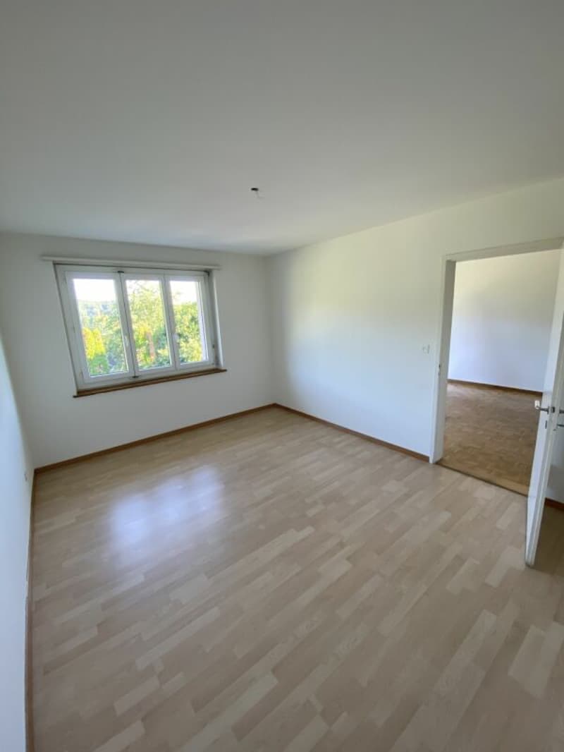 Schöne und gut gelegene Wohnung in Zürich (3)