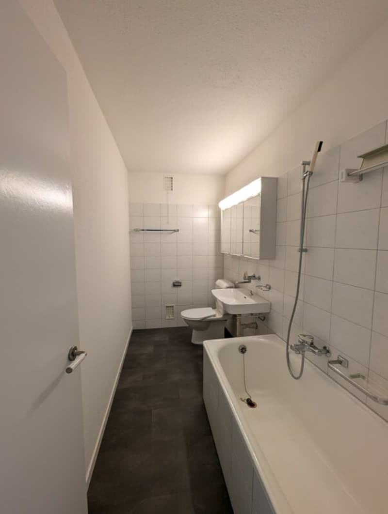 Schöne und gut gelegene Wohnung in Zürich (5)