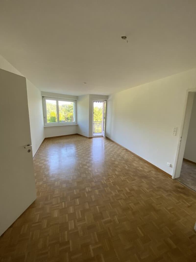 Schöne und gut gelegene Wohnung in Zürich (2)