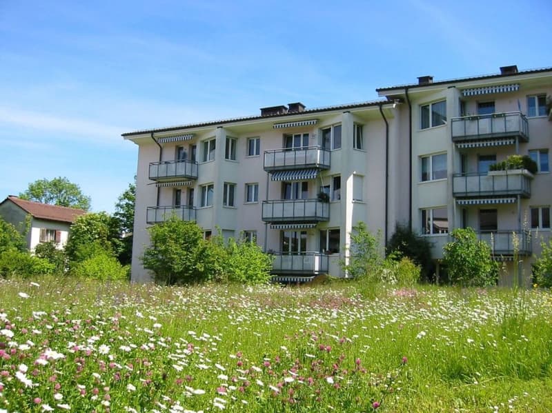 Schöne und gut gelegene Wohnung in Zürich (1)