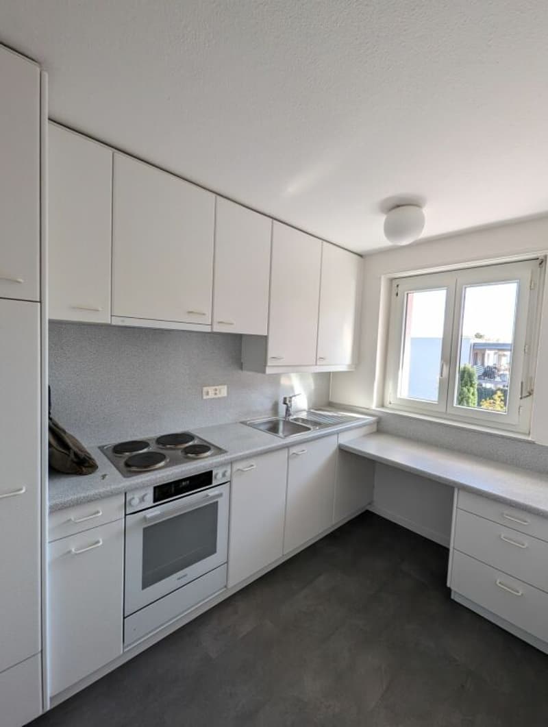 Schöne und gut gelegene Wohnung in Zürich (4)