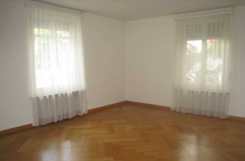 Schmuckstück nähe Rigiplatz (6)