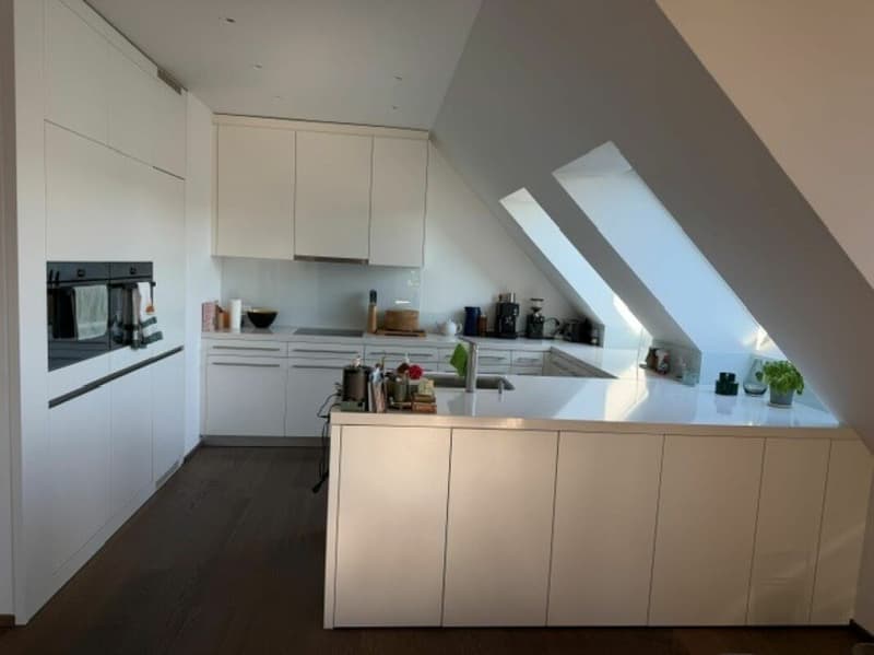 Modernes Wohnen im Zürcher Seefeld mit privater Dachterrasse (6)