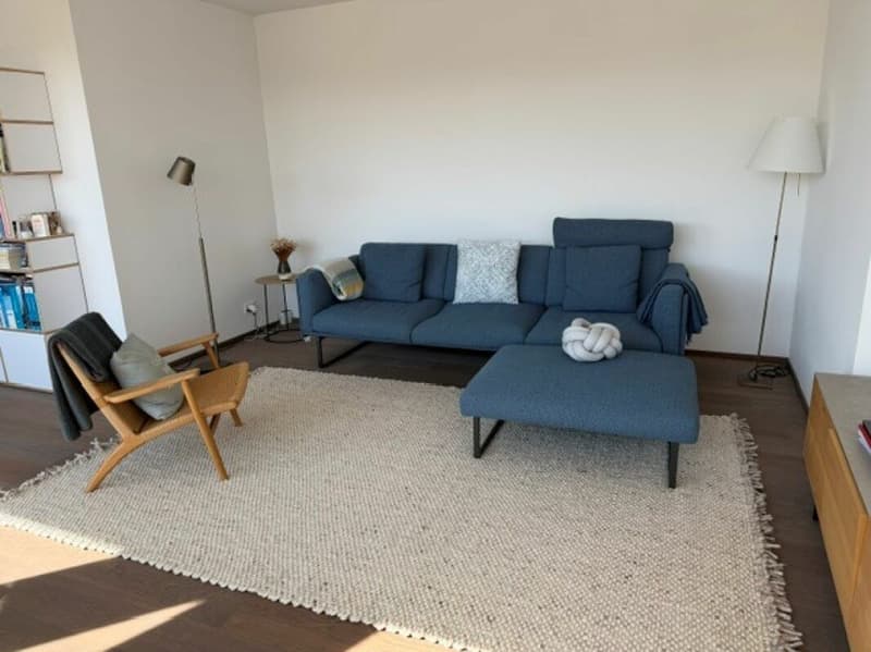 Modernes Wohnen im Zürcher Seefeld mit privater Dachterrasse (4)