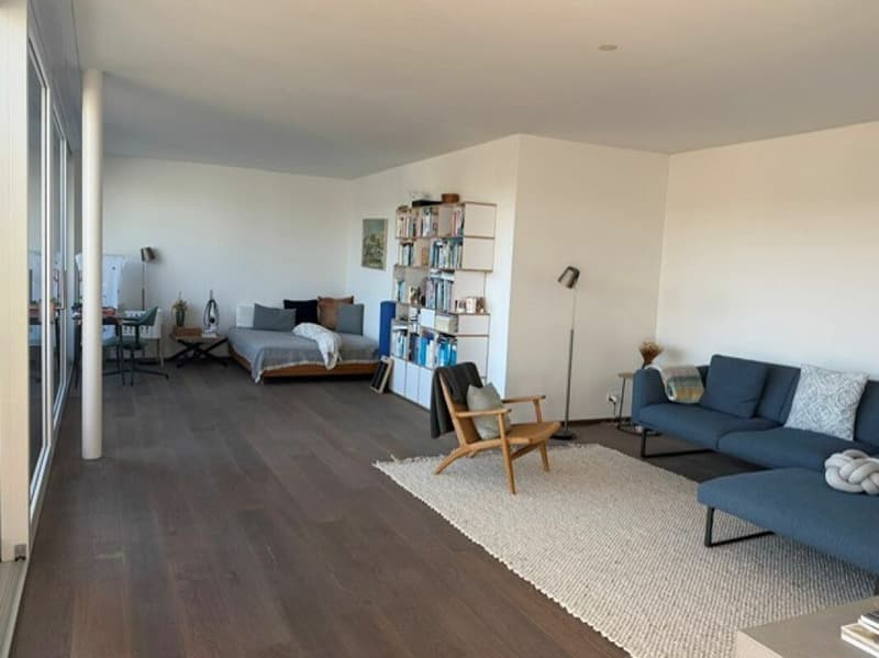 Modernes Wohnen im Zürcher Seefeld mit privater Dachterrasse (3)