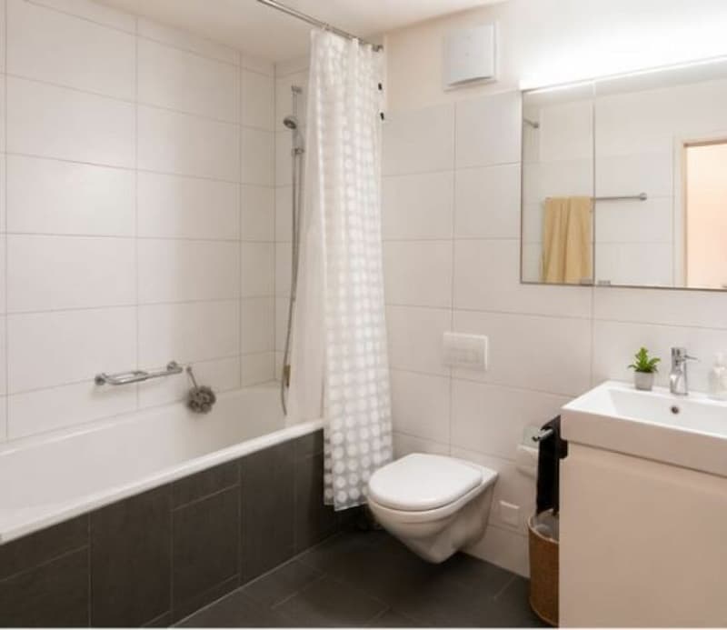 Befristete 2.5-Zimmer-Wohnung mit Seesicht in Kilchberg (5)