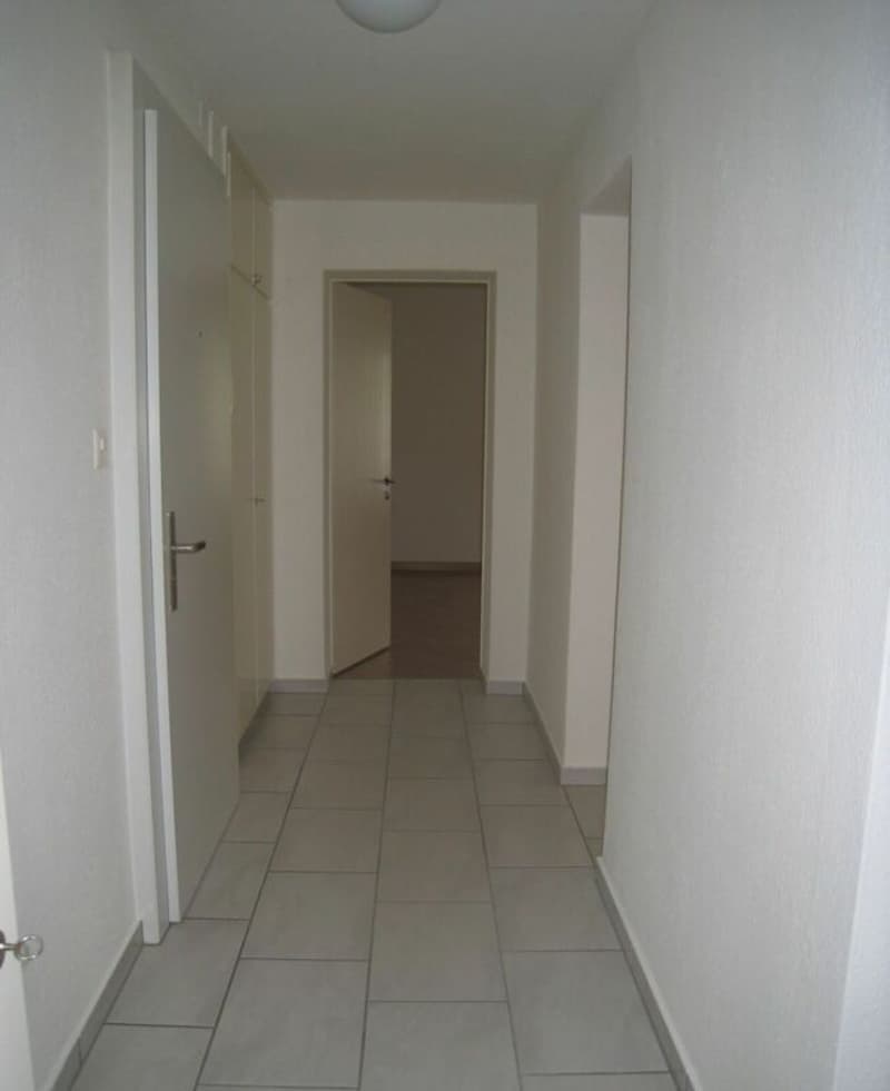 Schmuckstück nähe Rigiplatz (8)