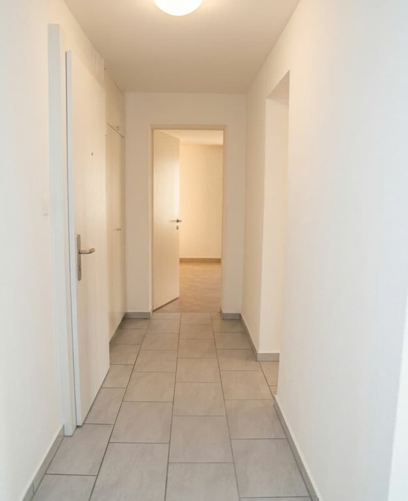 Schmuckstück nähe Rigiplatz (3)