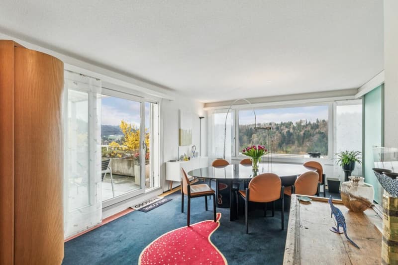 Raum für Ihre Visionen - Grosszügige Terrassenwohnung mit Weitblick (5)