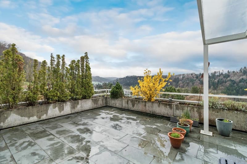 Raum für Ihre Visionen - Grosszügige Terrassenwohnung mit Weitblick (10)