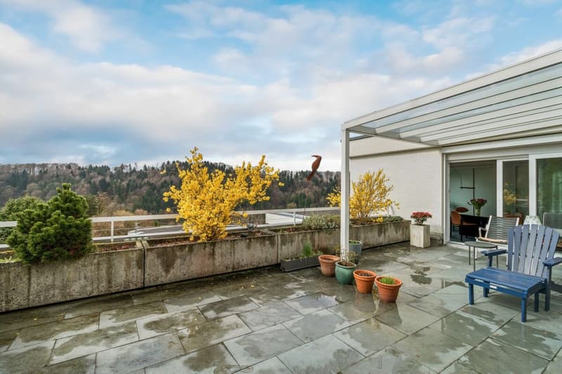 Raum für Ihre Visionen - Grosszügige Terrassenwohnung mit Weitblick (11)