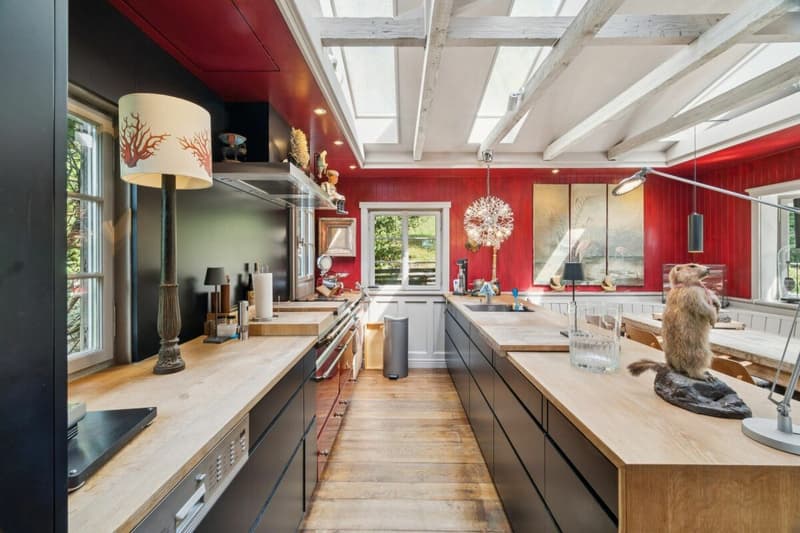 Maison charmante, grande qualité de vie - oase verte à Zurich (3)