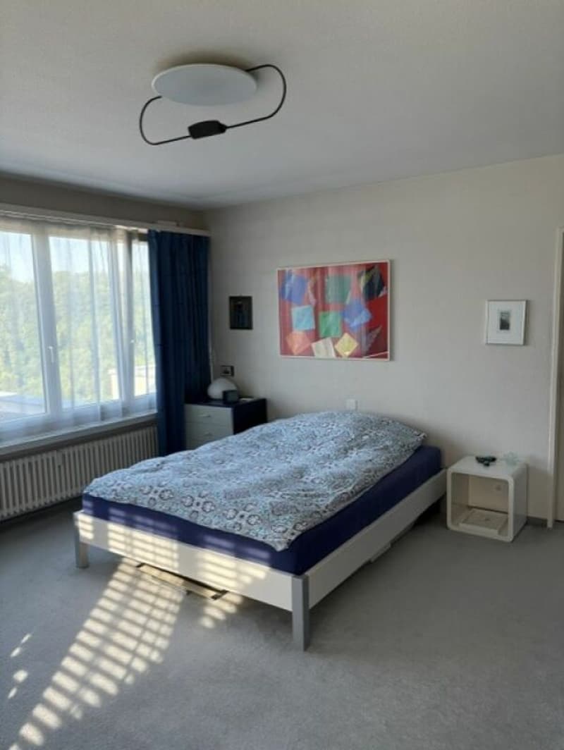 Ferienfeeling garantiert - Grosszügige Terrassenwohnung mit Weitblick (14)