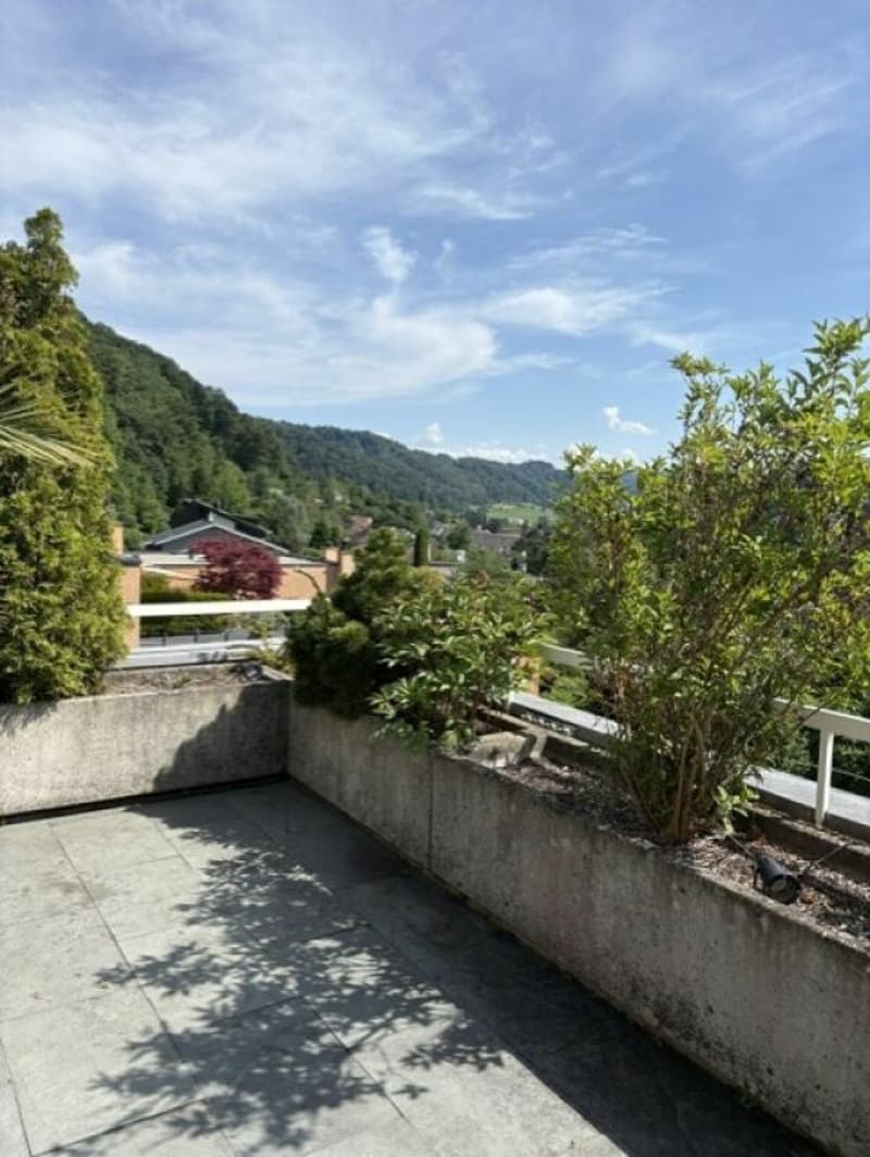Ferienfeeling garantiert - Grosszügige Terrassenwohnung mit Weitblick (8)