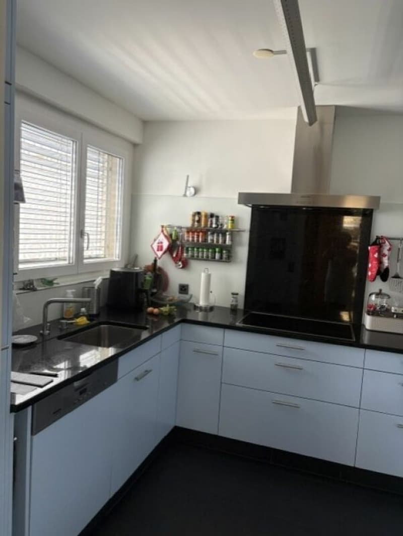 Ferienfeeling garantiert - Grosszügige Terrassenwohnung mit Weitblick (12)