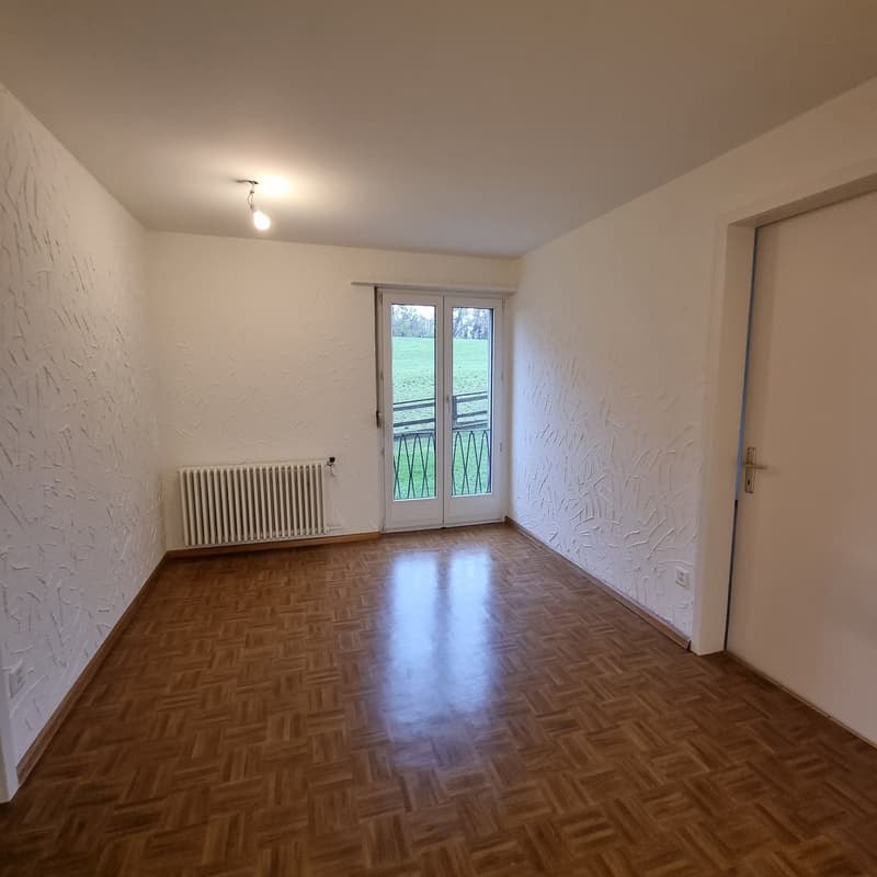 Grosszügige und komfortable 4.5-Zimmerwohnung mit Terrasse (8)