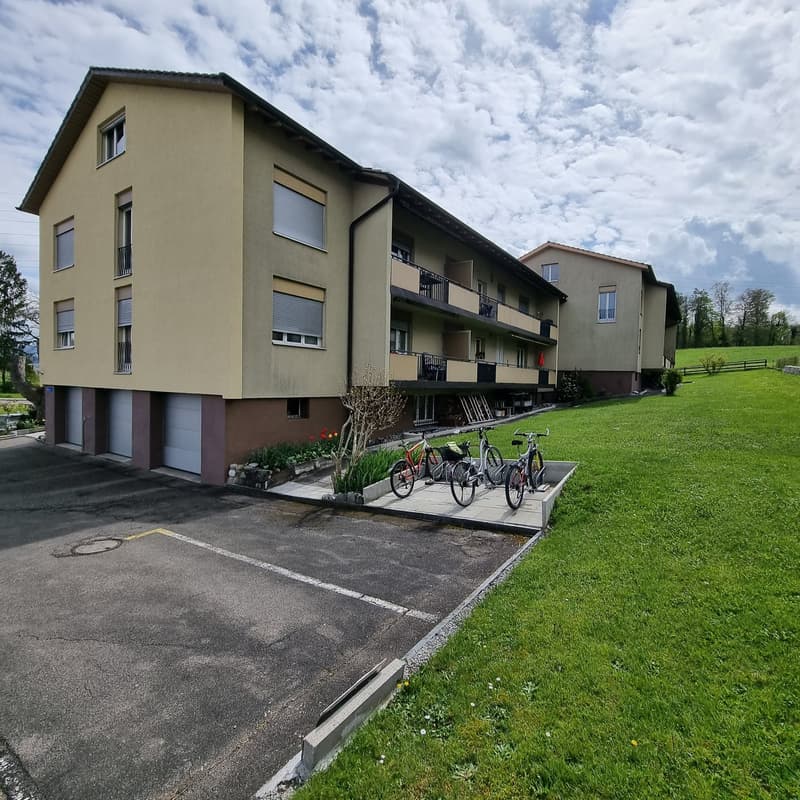 Grosszügige und komfortable 4.5-Zimmerwohnung mit Terrasse (1)