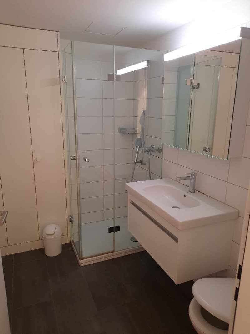 "Möblierte 1-Zimmerwohnung" Einziehen und wohlfühlen (4)