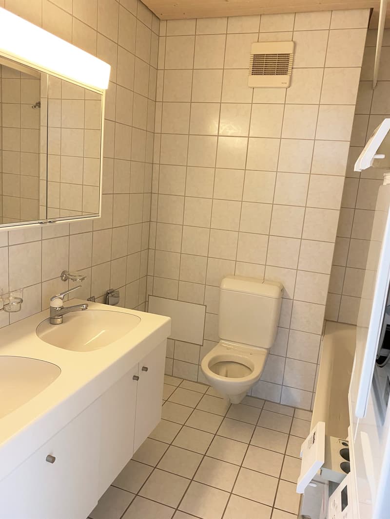 grosse helle Dachwohnung mit viel Charme (5)