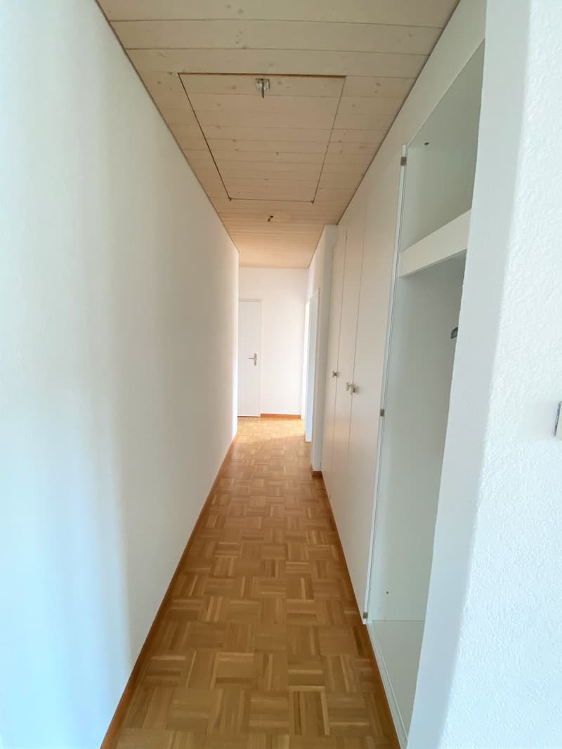 grosse helle Dachwohnung mit viel Charme (11)