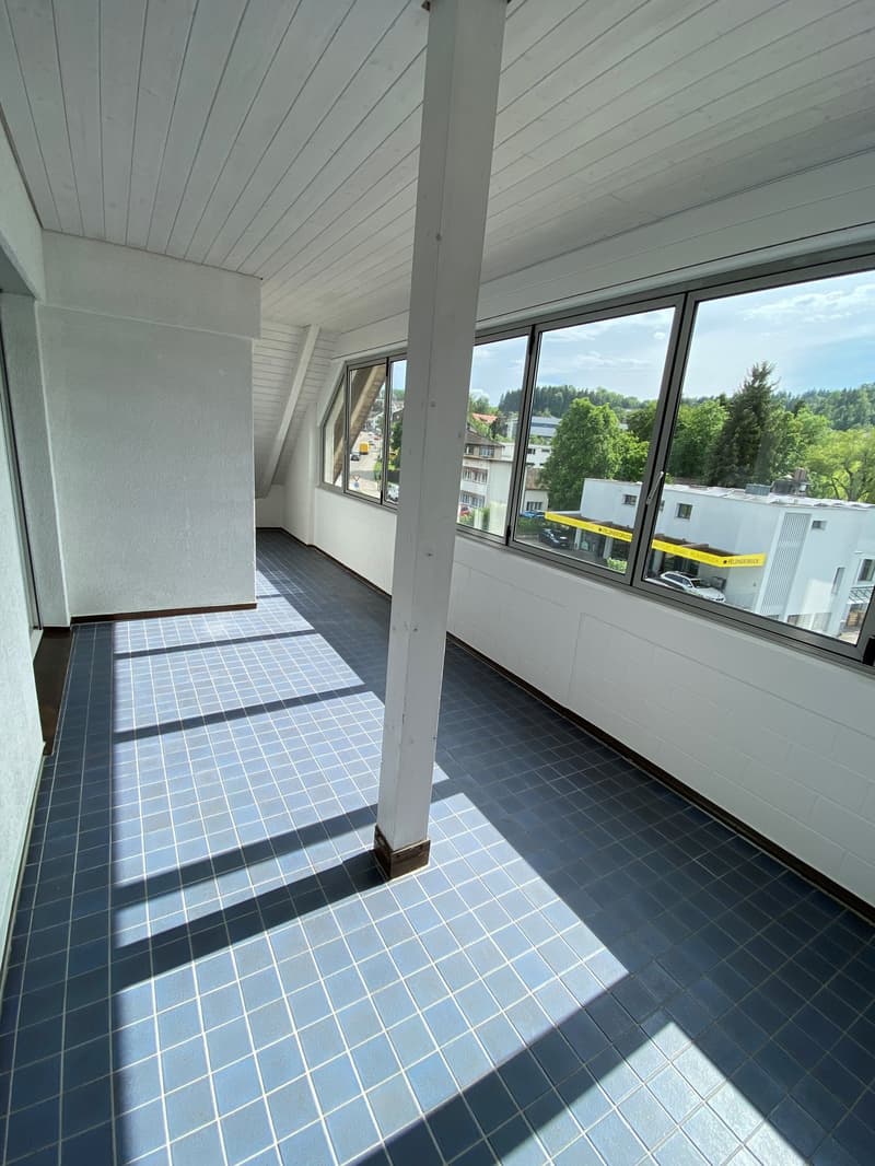 grosse helle Dachwohnung mit viel Charme (13)
