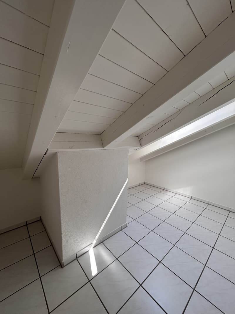 Helle 2.5-Zimmer-Wohnung in Fehraltorf (5)