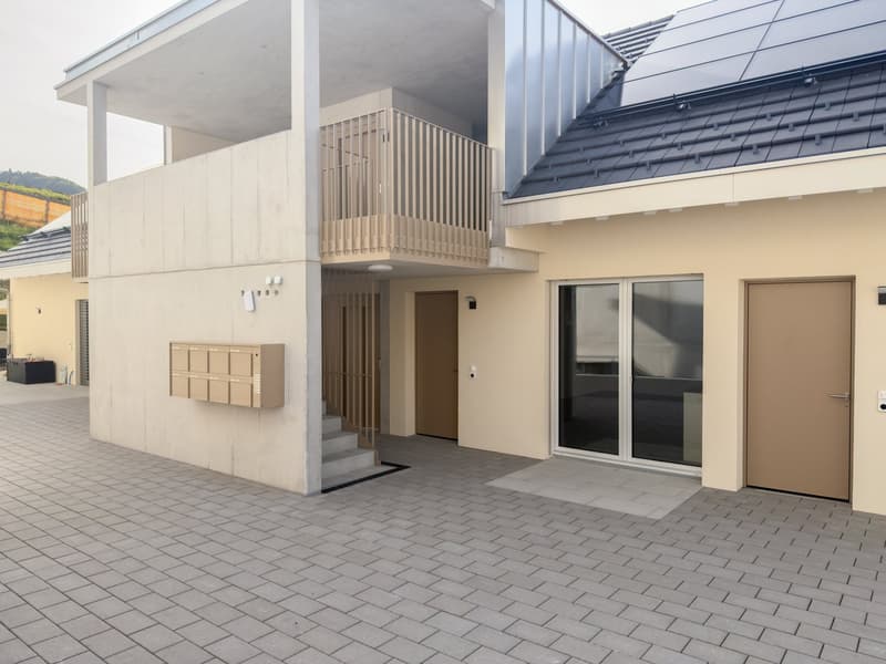 Erstvermietung - Grosszügige 4.5 Zimmer-Neubauwohnungen an ruhiger Lage (2)