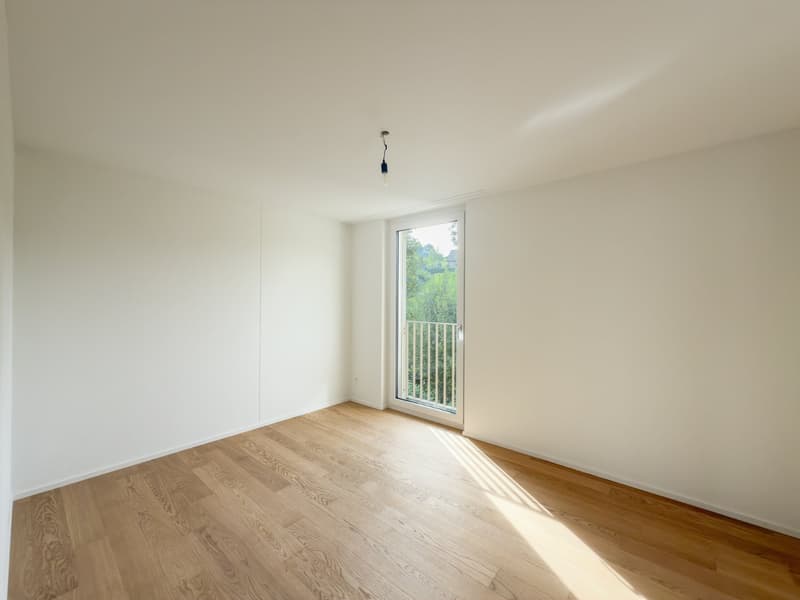 Erstvermietung - Grosszügige 4.5 Zimmer-Neubauwohnungen an ruhiger Lage (9)