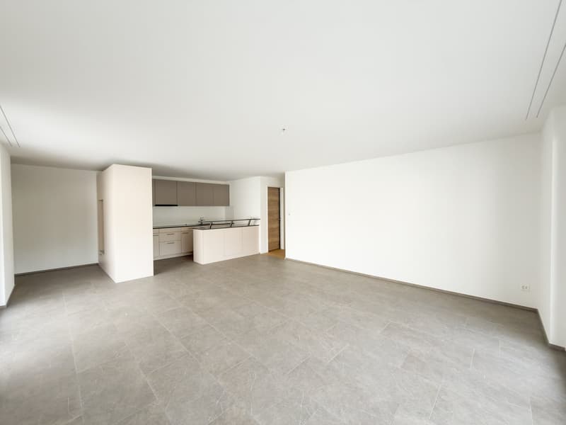Erstvermietung - Grosszügige 4.5 Zimmer-Neubauwohnungen an ruhiger Lage (3)