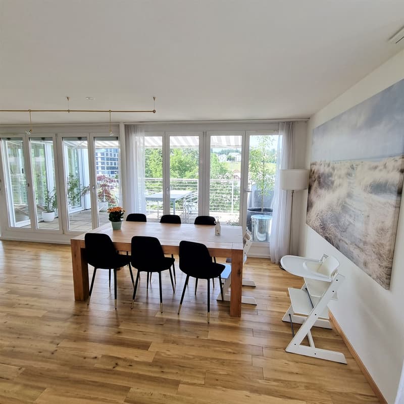 Appartamento in mansarda di proprietà con terrazza (3)