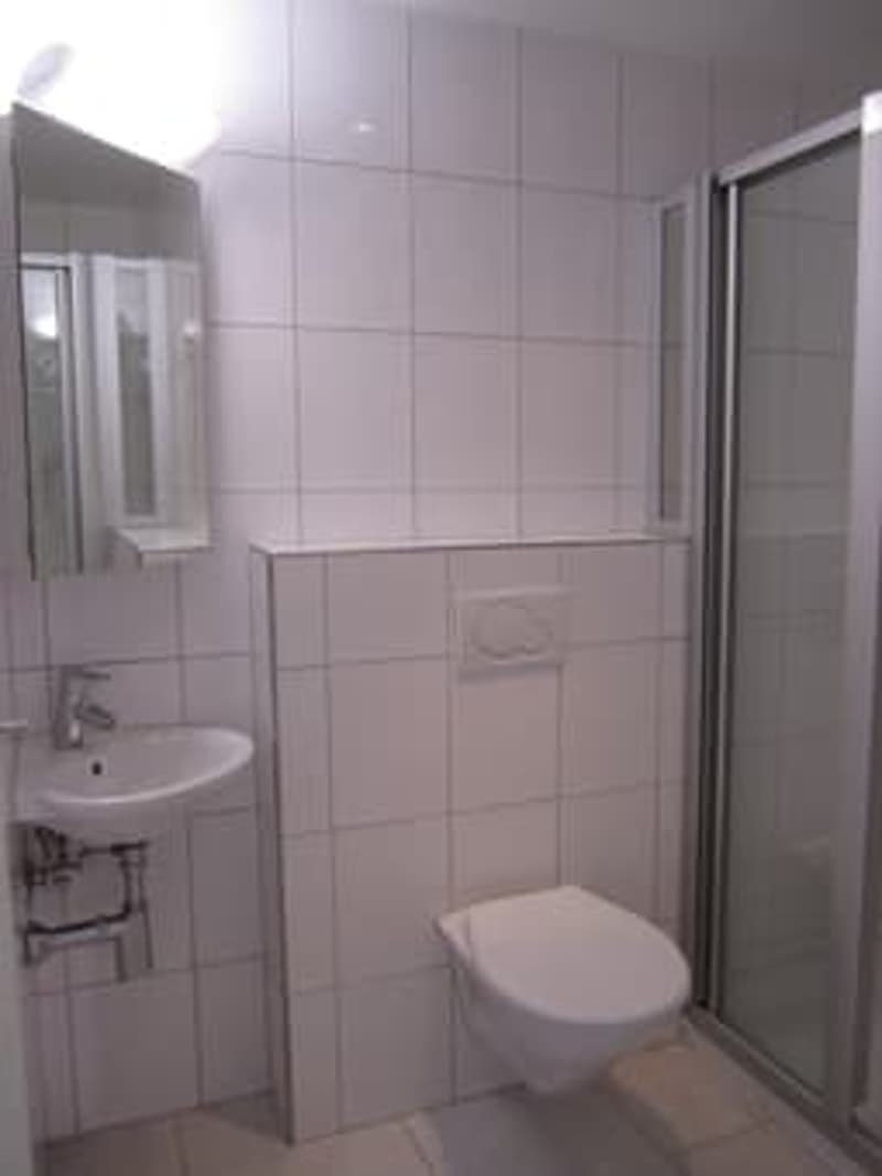 Attractive 4-room apartment in a quiet residential area (4)