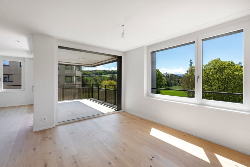 open room with large windows, wooden floor, balcony with railings