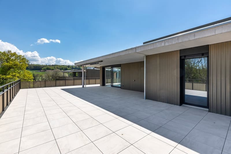 MATRAN – MAGNIFIQUE ATTIQUE DE 5.5 PIÈCES AVEC TERRASSE EXCEPTIONNELLE DE 171 M² (4)