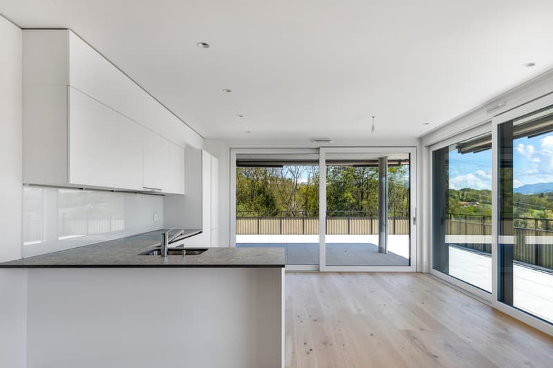 MATRAN – MAGNIFIQUE ATTIQUE DE 5.5 PIÈCES AVEC TERRASSE EXCEPTIONNELLE DE 171 M² (3)
