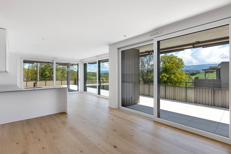 MATRAN – MAGNIFIQUE ATTIQUE DE 5.5 PIÈCES AVEC TERRASSE EXCEPTIONNELLE DE 171 M² (2)
