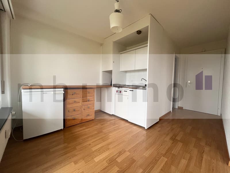 Studio avec terrasse (2)