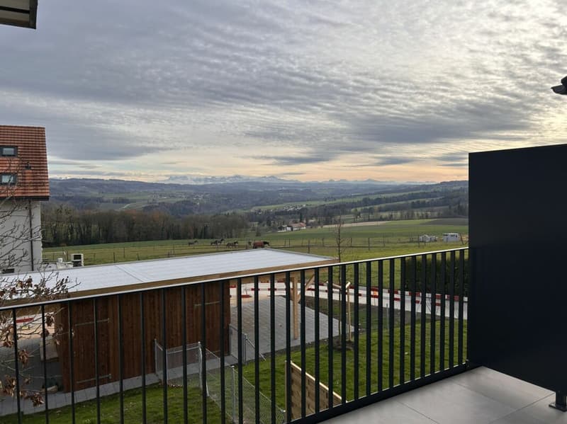 Attached house 5.5 rooms in Cronay (17)
