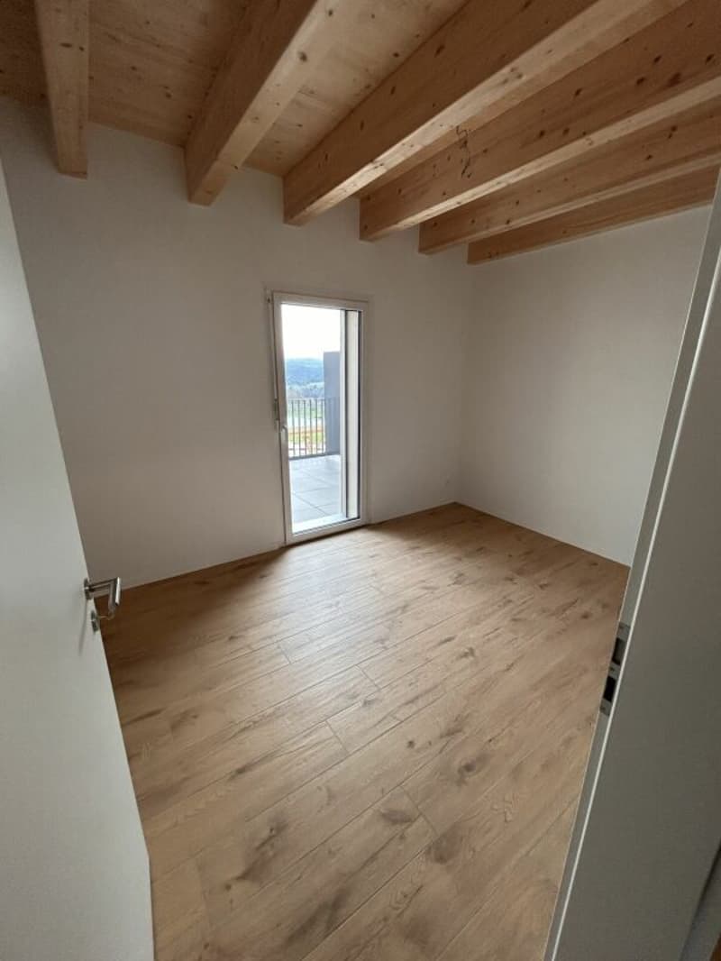 Attached house 5.5 rooms in Cronay (14)