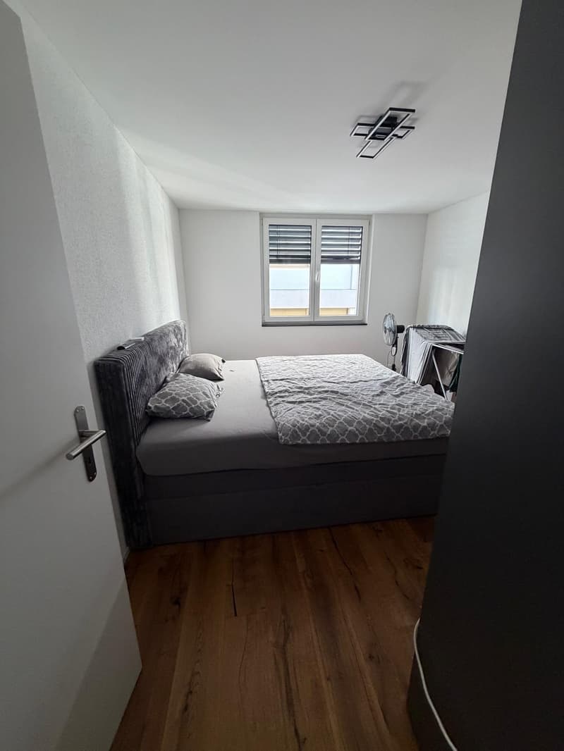 Cozy 2-room apartment in Sankt Margrethen (9)