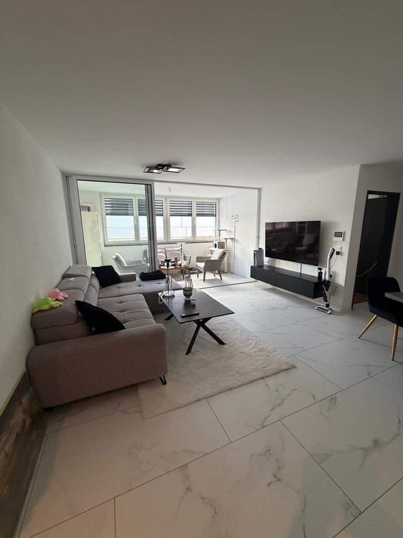 Cozy 2-room apartment in Sankt Margrethen (10)