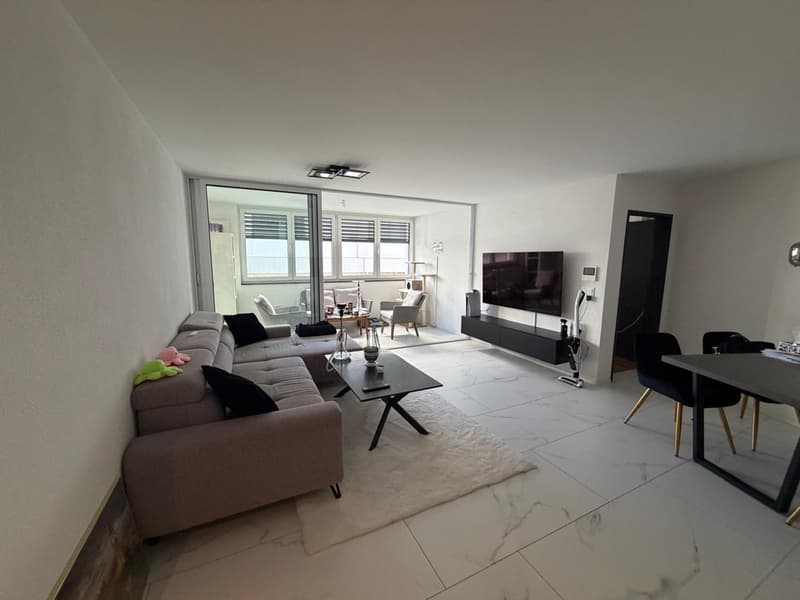Cozy 2-room apartment in Sankt Margrethen (3)