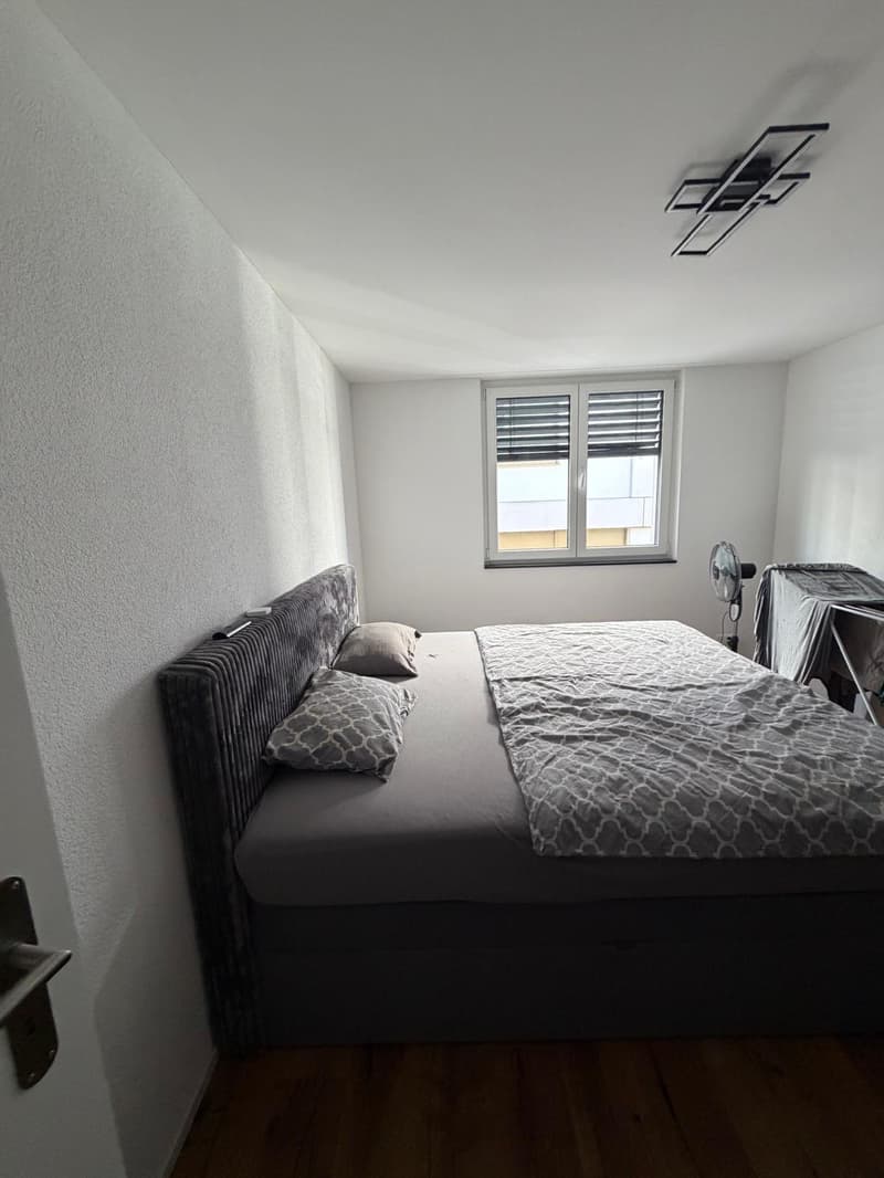 Cozy 2-room apartment in Sankt Margrethen (7)