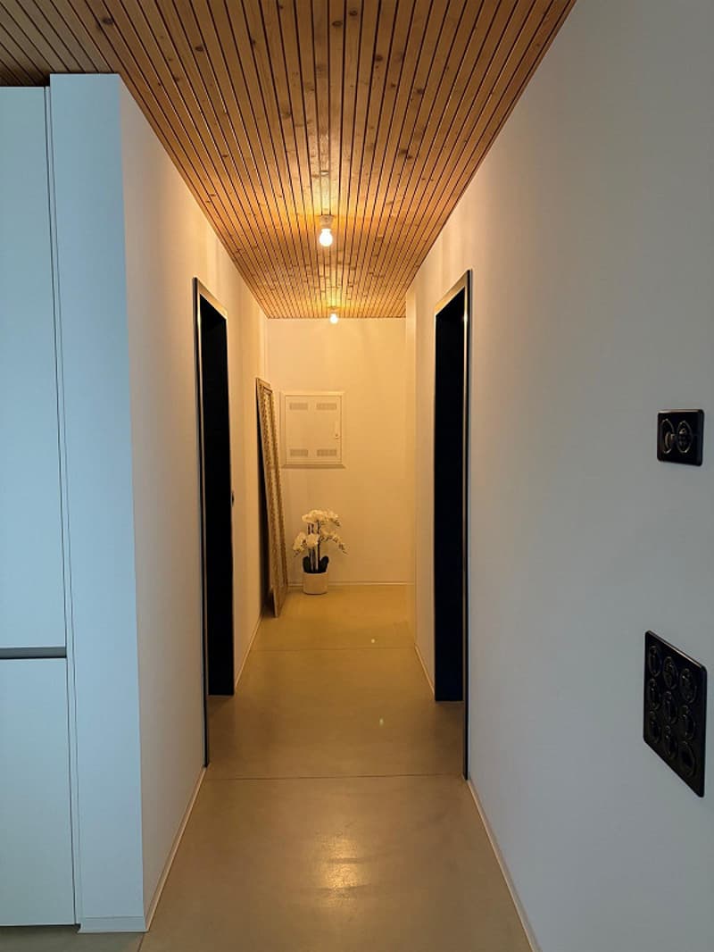 Subtenant wanted for modern 2-room apartment in central location in Rorschach (8)
