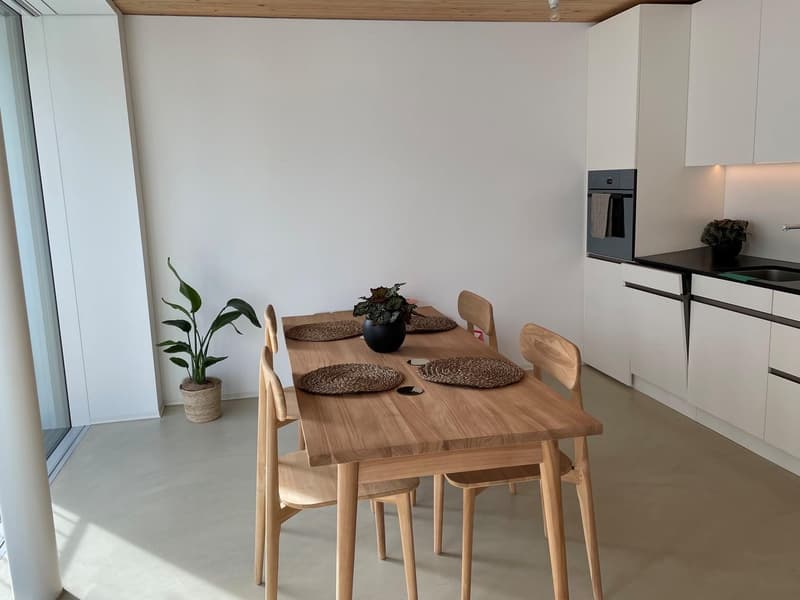 Subtenant wanted for modern 2-room apartment in central location in Rorschach (3)