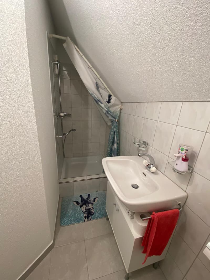 Appartement moderne 4.5 pièces avec balcon à Egnach (15)