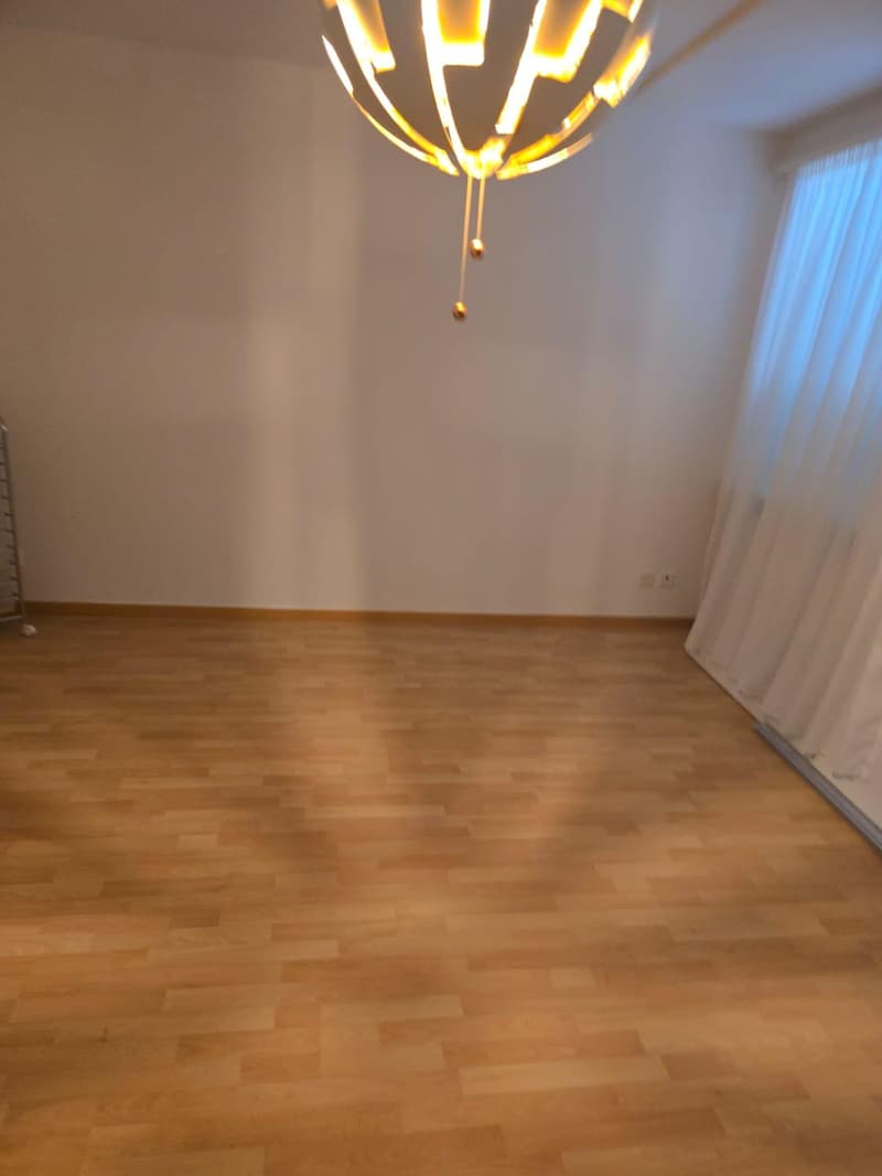 Charmante 3-Zimmer-Wohnung in St. Margrethen (4)