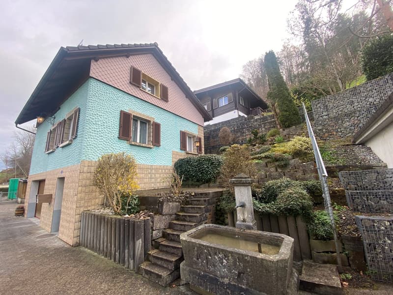 Charmantes Familienheim mit üppigem Garten (2)