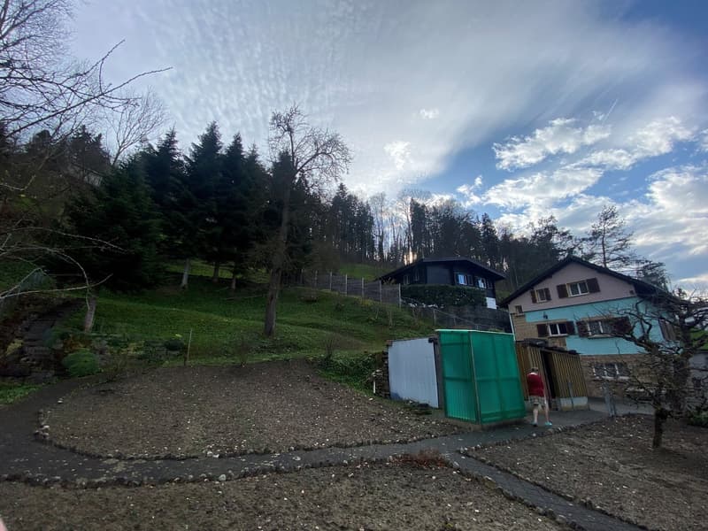 Charmantes Familienheim mit üppigem Garten (7)