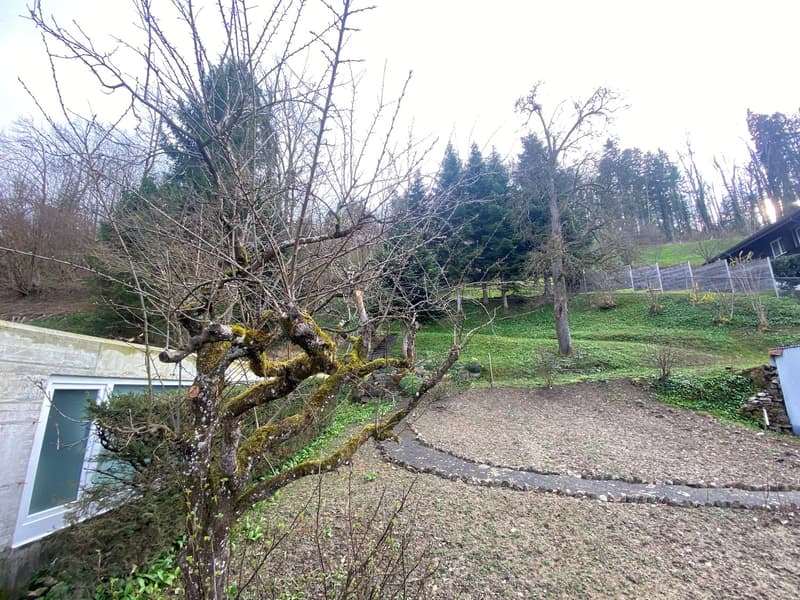 Charmantes Familienheim mit üppigem Garten (3)