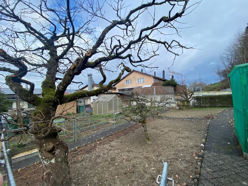 Charmantes Familienheim mit üppigem Garten (4)